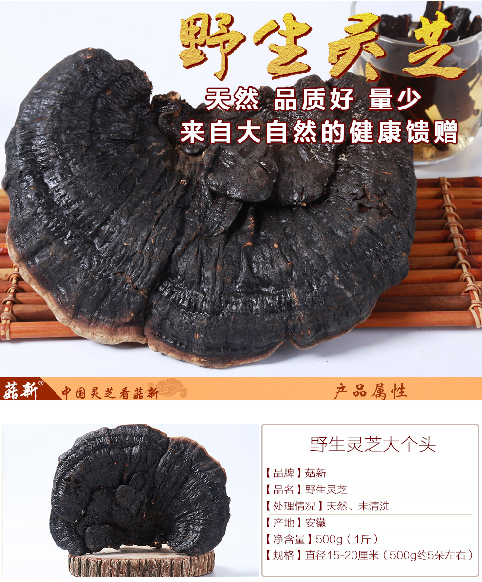 菇新野生靈芝大個(gè)頭