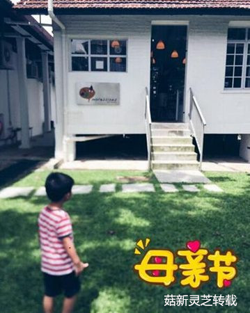孫燕姿罕見(jiàn)曬老公秀恩愛(ài) 菇新靈芝孢子粉 孫燕姿罕見(jiàn)曬老公秀恩愛(ài) 菇新靈芝孢子粉