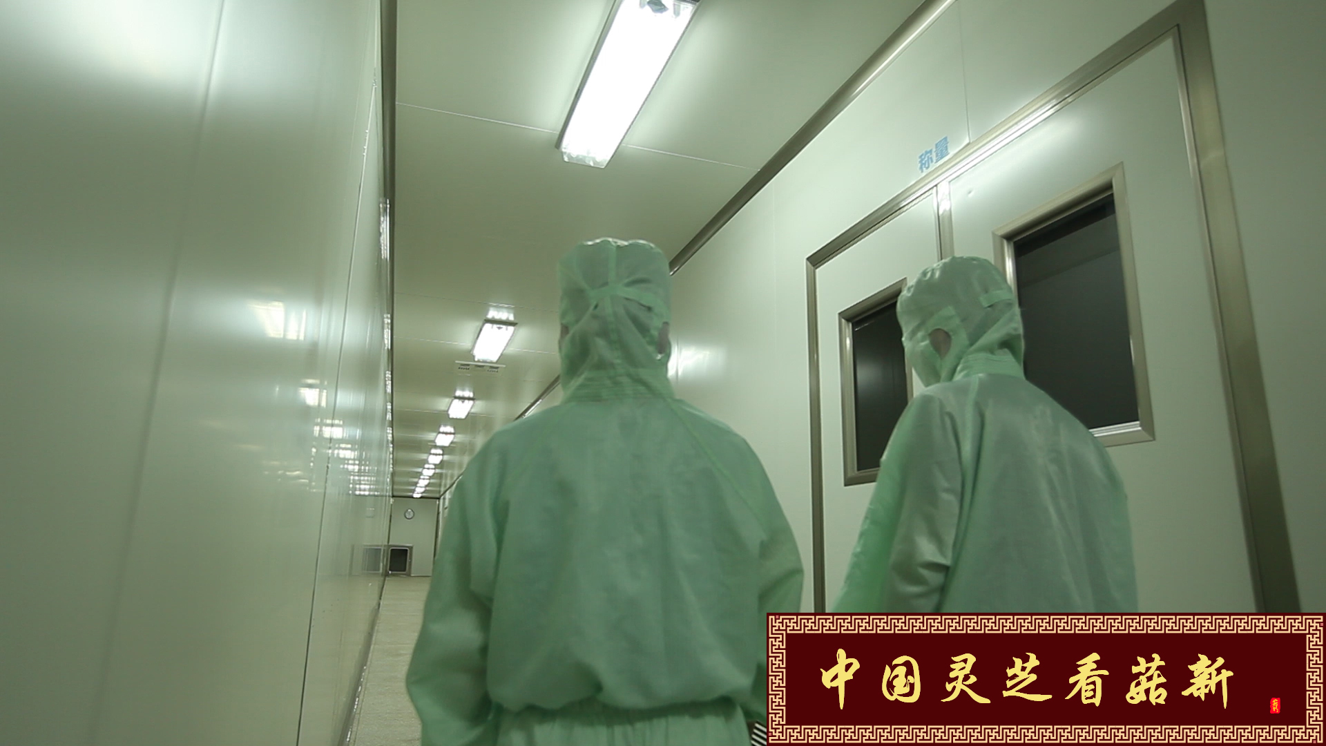 菇新GMP加工廠十萬(wàn)級(jí)無(wú)塵車間